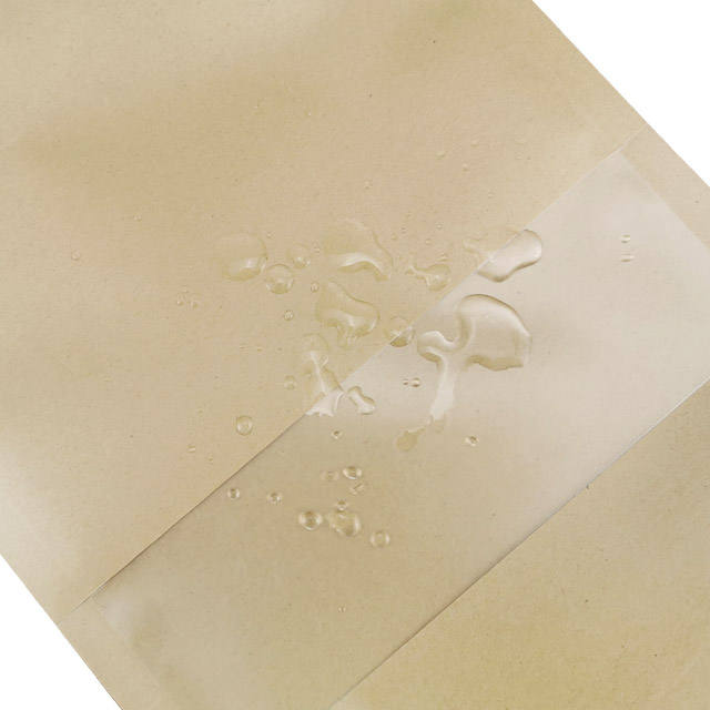 Eco-friendly plastic stand-up seal tea bag packaging, laminated kraft paper bag with window zipper